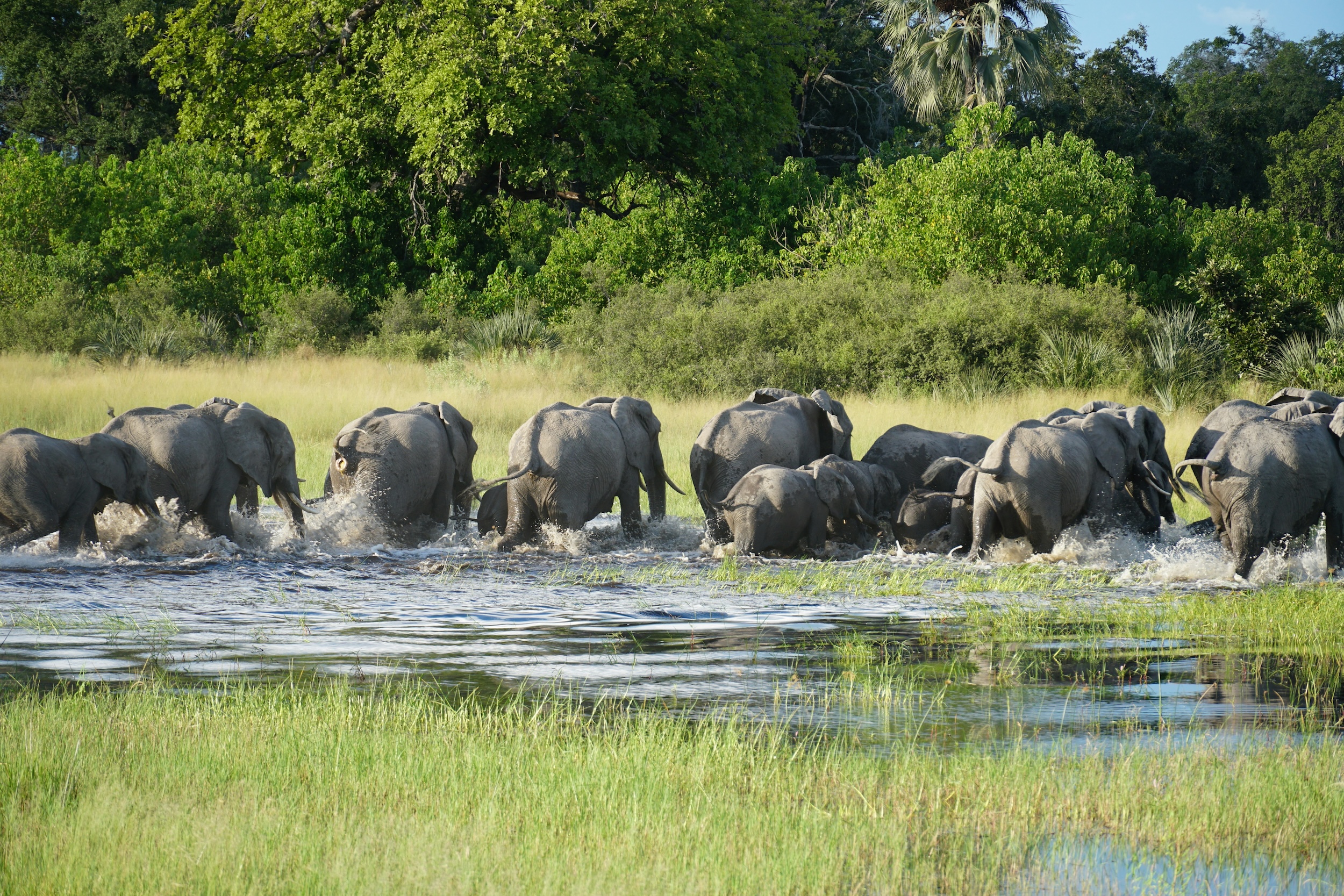 Botswana