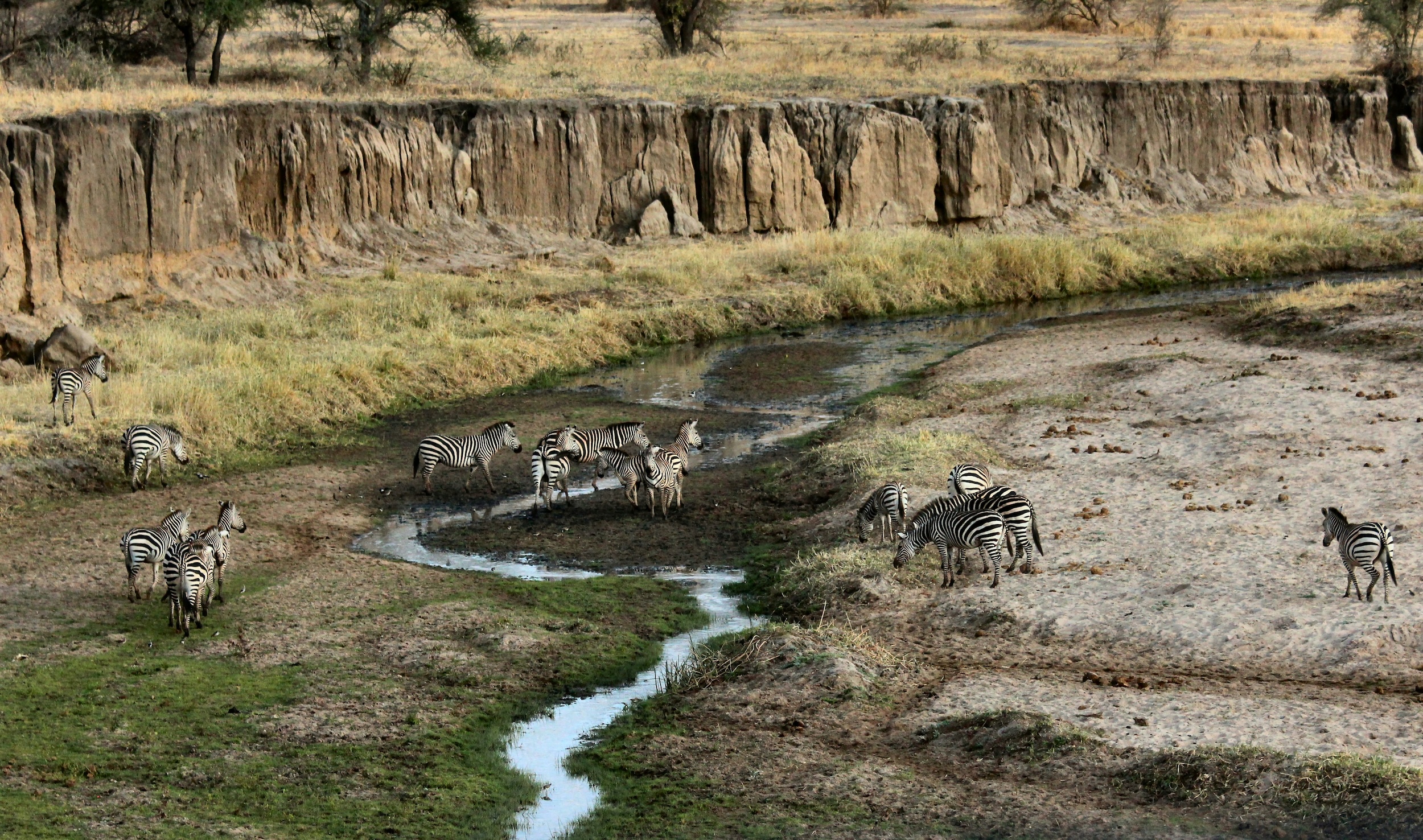 Tanzania