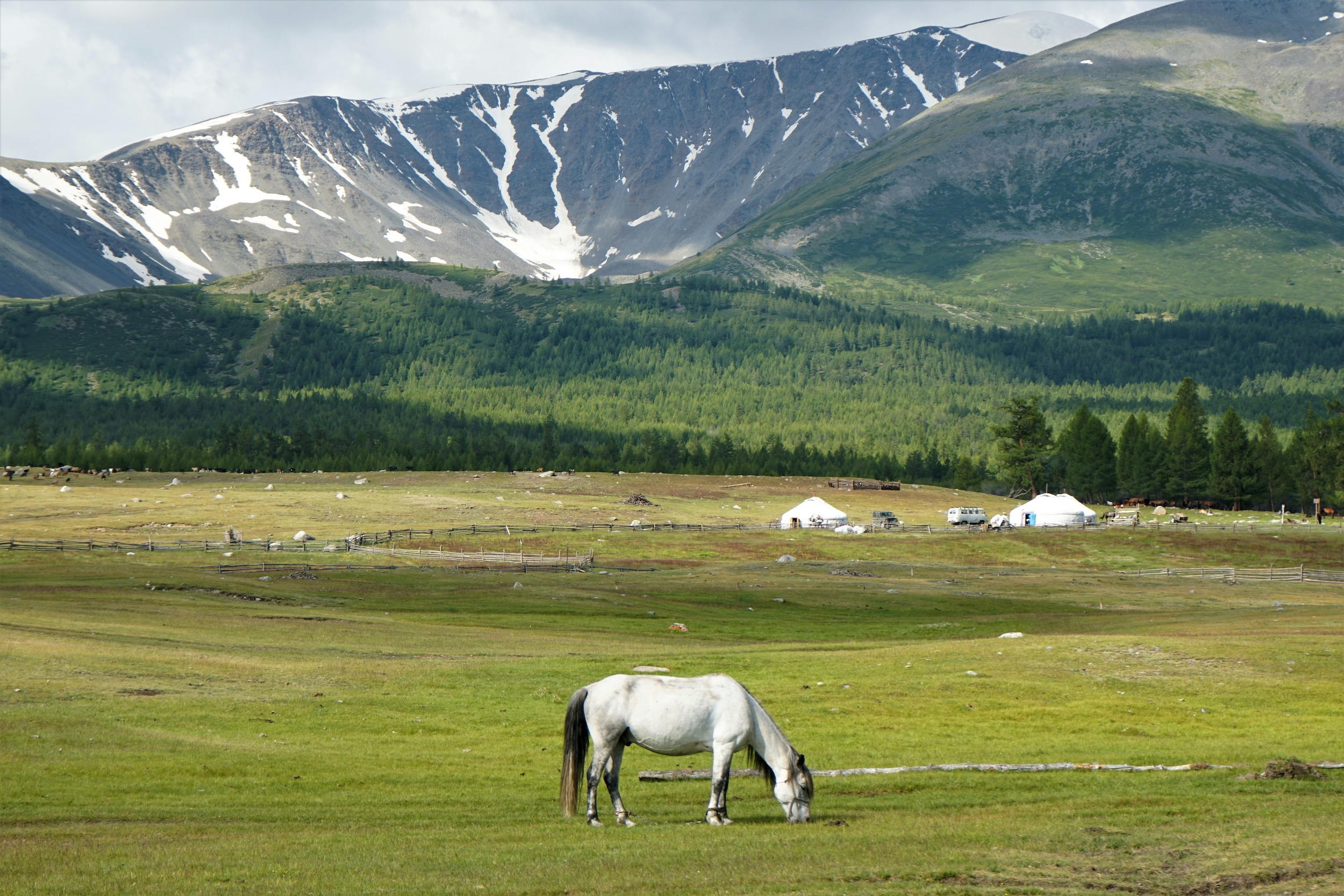 Mongolia