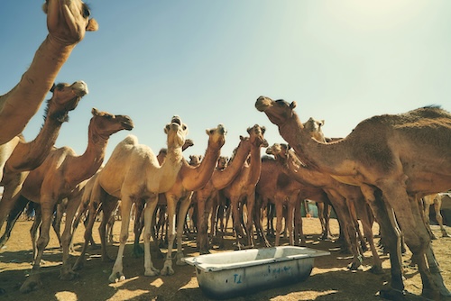 Mauritania