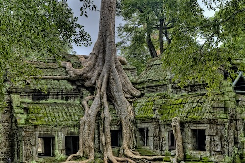 Cambodia