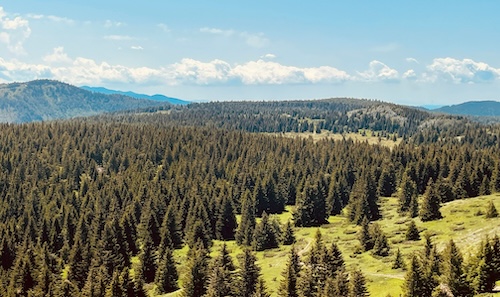 Kosovo